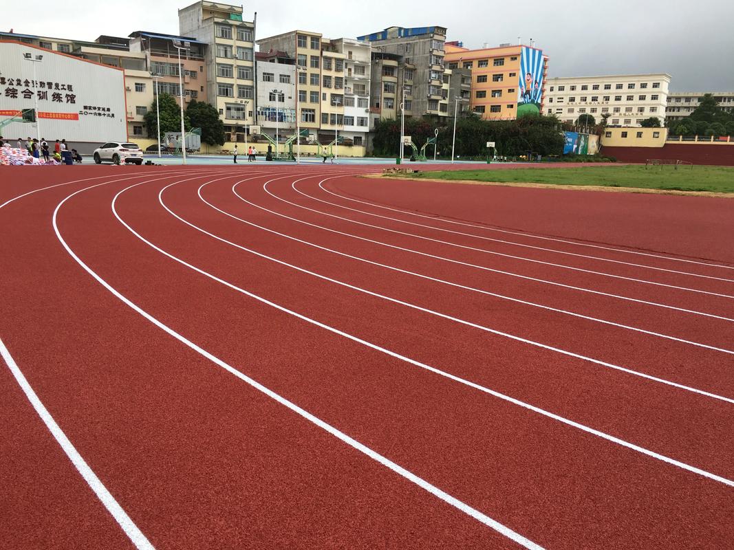 阿勒泰地区硅PU塑胶跑道材料 - 价格